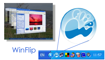 WinFlip 3D program