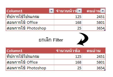 Remove Filter Excel 2007