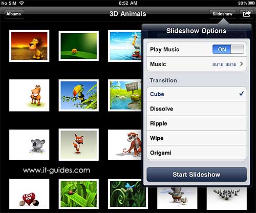 Slideshow Options iPad