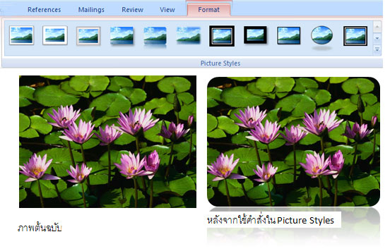 Picture Styles in MS Office 2007